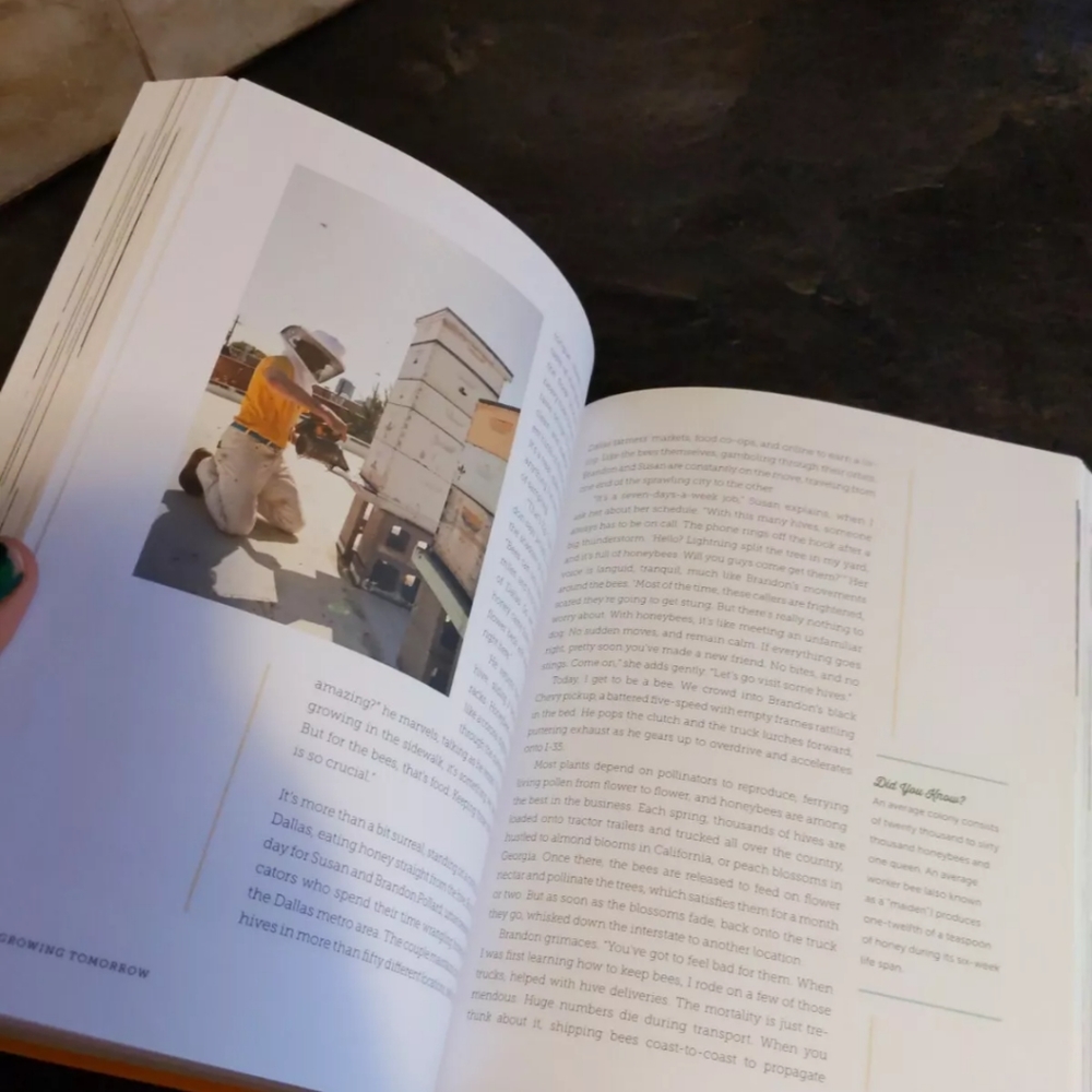 Book - Picture 3 of 8